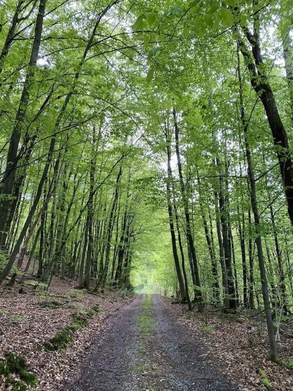 Ganze Ferienwohnung In Idyllischer Umgebung Werdohl Zewnętrze zdjęcie